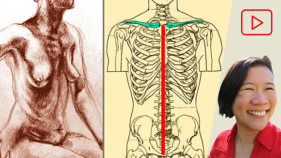 Anatomy for Artists