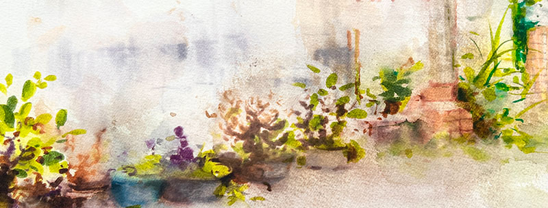 Clara watercolor painting banner