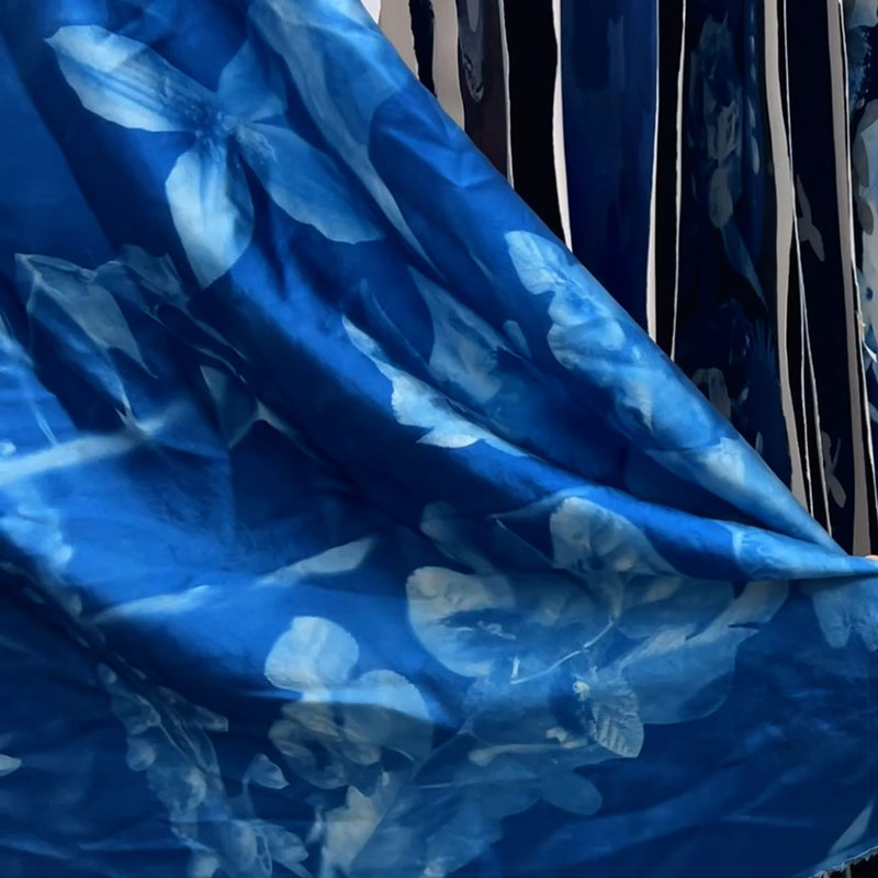 Susan Cyanotype